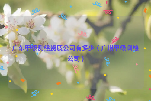 广东甲级测绘资质公司有多少（广州甲级测绘公司）