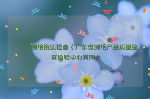 广东省测绘资质检查（广东省测绘产品质量监督检验中心官网）