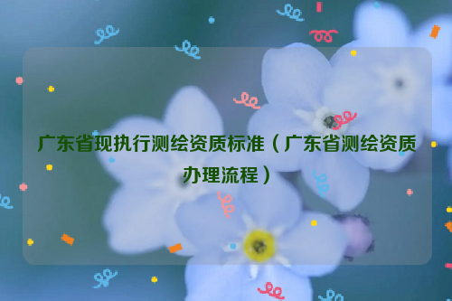 广东省现执行测绘资质标准（广东省测绘资质办理流程）