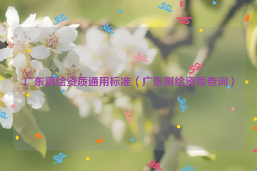 广东测绘资质通用标准（广东测绘资质查询）