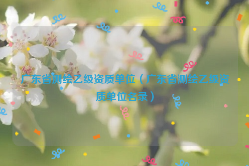 广东省测绘乙级资质单位（广东省测绘乙级资质单位名录）