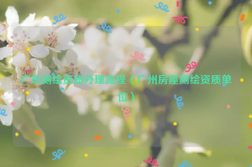 广东测绘资质办理流程（广州房屋测绘资质单位）