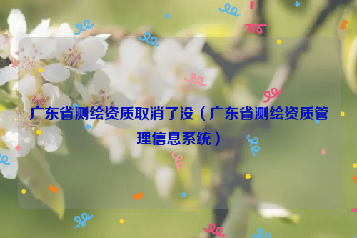 广东省测绘资质取消了没（广东省测绘资质管理信息系统）
