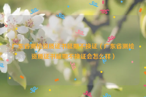 广东省测绘资质证书延期不换证（广东省测绘资质证书延期不换证会怎么样）