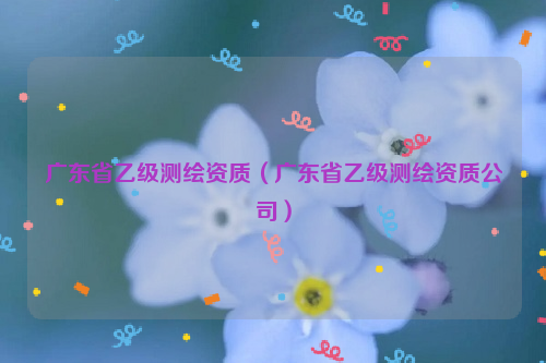 广东省乙级测绘资质（广东省乙级测绘资质公司）