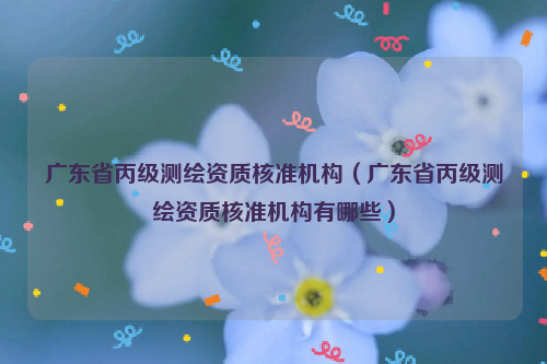 广东省丙级测绘资质核准机构（广东省丙级测绘资质核准机构有哪些）