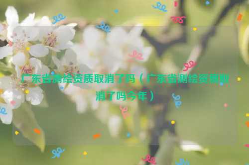 广东省测绘资质取消了吗（广东省测绘资质取消了吗今年）