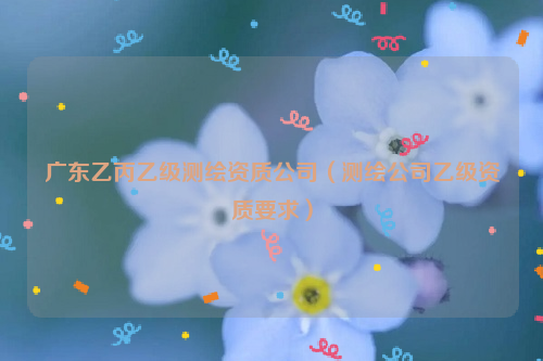 广东乙丙乙级测绘资质公司（测绘公司乙级资质要求）