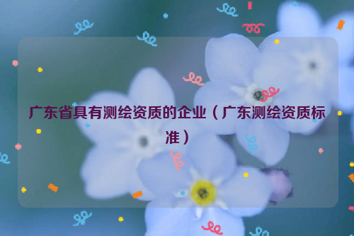 广东省具有测绘资质的企业（广东测绘资质标准）