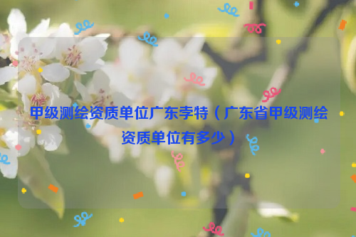 甲级测绘资质单位广东孛特（广东省甲级测绘资质单位有多少）