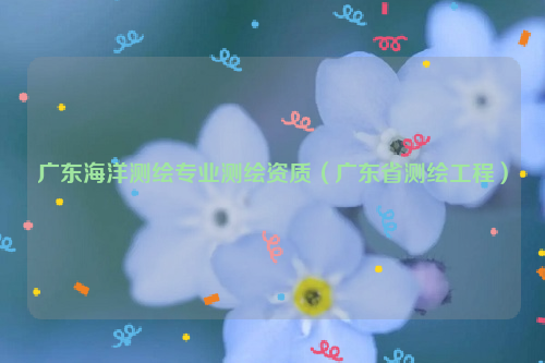 广东海洋测绘专业测绘资质（广东省测绘工程）