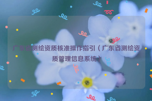 广东省测绘资质核准操作指引（广东省测绘资质管理信息系统）