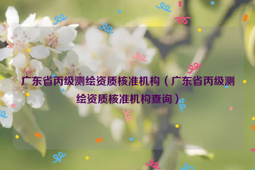 广东省丙级测绘资质核准机构（广东省丙级测绘资质核准机构查询）