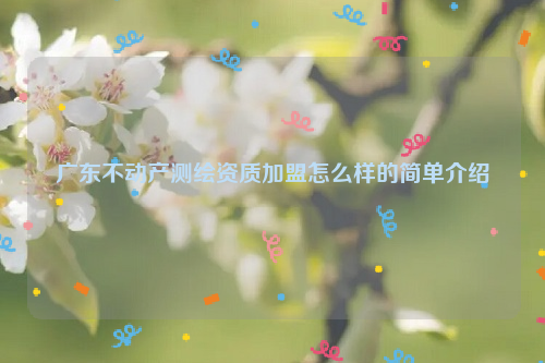 广东不动产测绘资质加盟怎么样的简单介绍