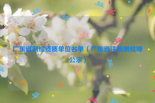 广东省测绘资质单位名单（广东省注册测绘师公示）