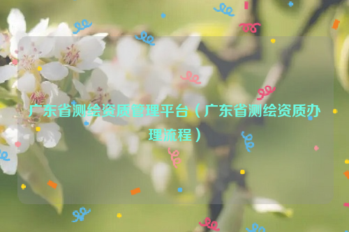 广东省测绘资质管理平台（广东省测绘资质办理流程）