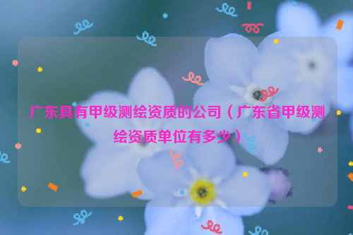 广东具有甲级测绘资质的公司（广东省甲级测绘资质单位有多少）