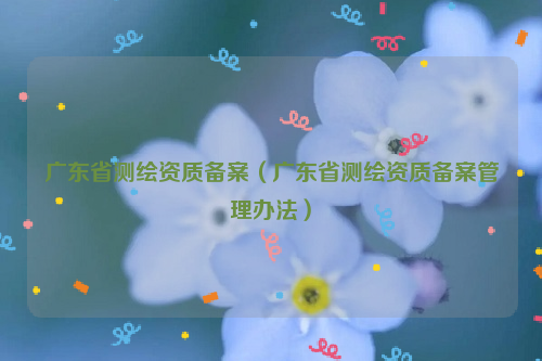 广东省测绘资质备案（广东省测绘资质备案管理办法）