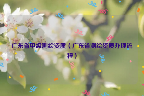 广东省甲级测绘资质（广东省测绘资质办理流程）