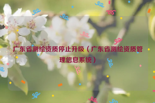 广东省测绘资质停止升级（广东省测绘资质管理信息系统）