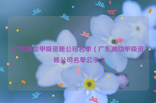 广东测绘甲级资质公司名单（广东测绘甲级资质公司名单公示）