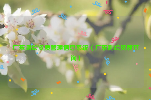 广东测绘资质管理信息系统（广东测绘资质查询）