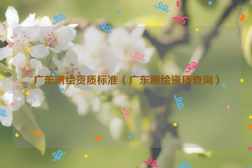 广东测绘资质标准（广东测绘资质查询）