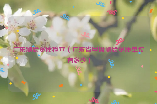 广东测绘资质检查（广东省甲级测绘资质单位有多少）
