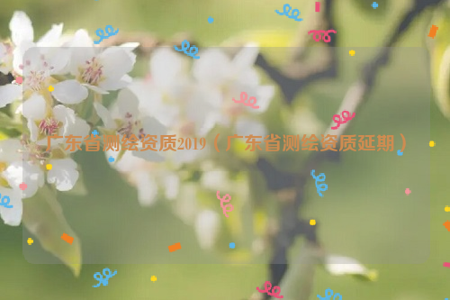 广东省测绘资质2019（广东省测绘资质延期）