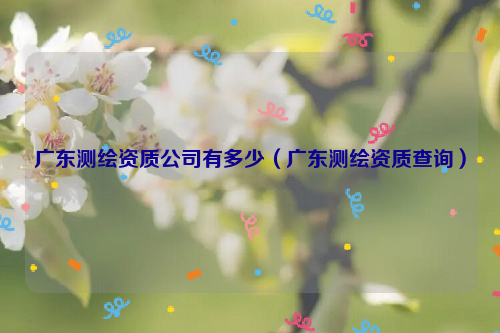 广东测绘资质公司有多少（广东测绘资质查询）