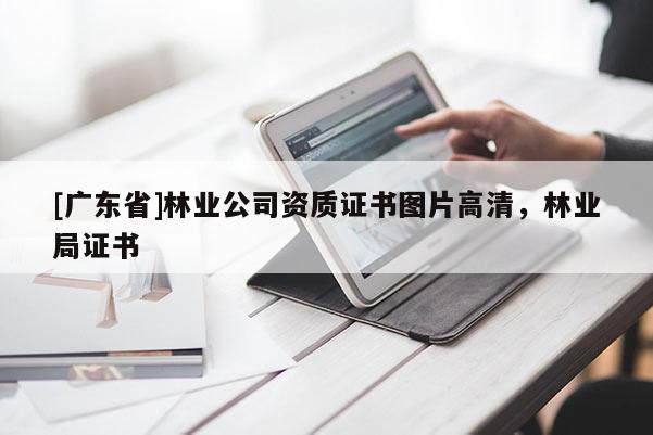 [广东省]林业公司资质证书图片高清，林业局证书