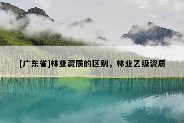 [广东省]林业资质的区别，林业乙级资质