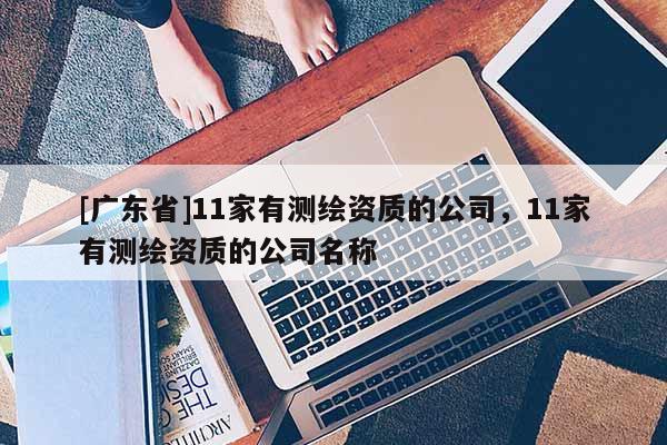 [广东省]11家有测绘资质的公司，11家有测绘资质的公司名称