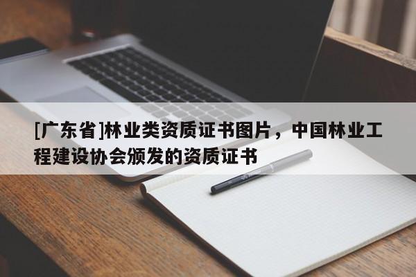 [广东省]林业类资质证书图片，中国林业工程建设协会颁发的资质证书