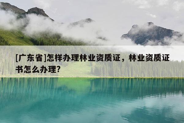 [广东省]怎样办理林业资质证，林业资质证书怎么办理?
