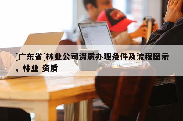 [广东省]林业公司资质办理条件及流程图示，林业 资质