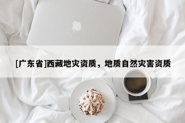 [广东省]西藏地灾资质，地质自然灾害资质