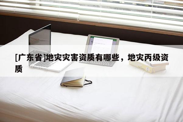 [广东省]地灾灾害资质有哪些，地灾丙级资质