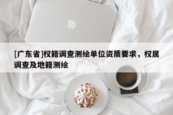 [广东省]权籍调查测绘单位资质要求，权属调查及地籍测绘