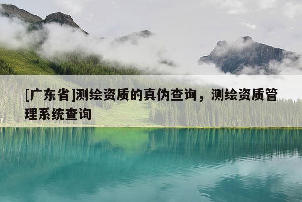 [广东省]测绘资质的真伪查询，测绘资质管理系统查询