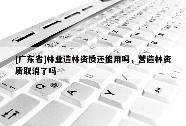 [广东省]林业造林资质还能用吗，营造林资质取消了吗