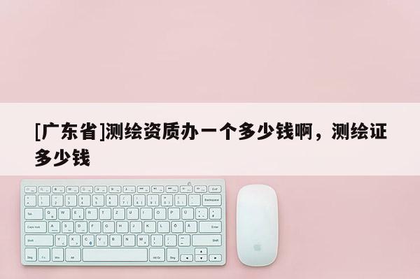 [广东省]测绘资质办一个多少钱啊，测绘证多少钱