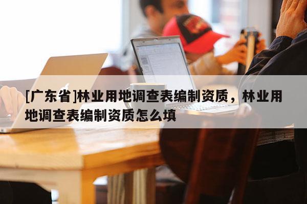 [广东省]林业用地调查表编制资质，林业用地调查表编制资质怎么填