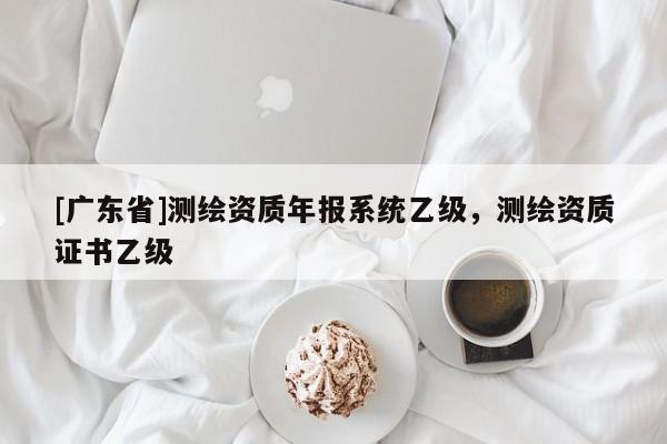 [广东省]测绘资质年报系统乙级，测绘资质证书乙级