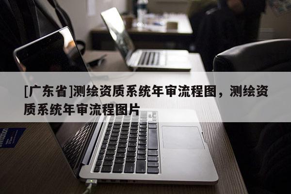 [广东省]测绘资质系统年审流程图，测绘资质系统年审流程图片