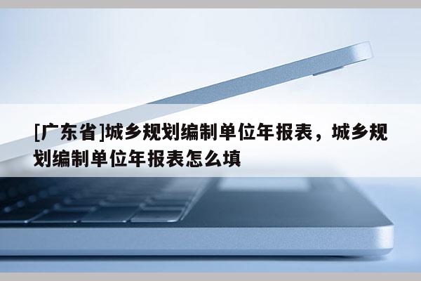 [广东省]城乡规划编制单位年报表，城乡规划编制单位年报表怎么填