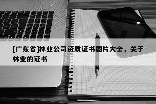 [广东省]林业公司资质证书图片大全，关于林业的证书