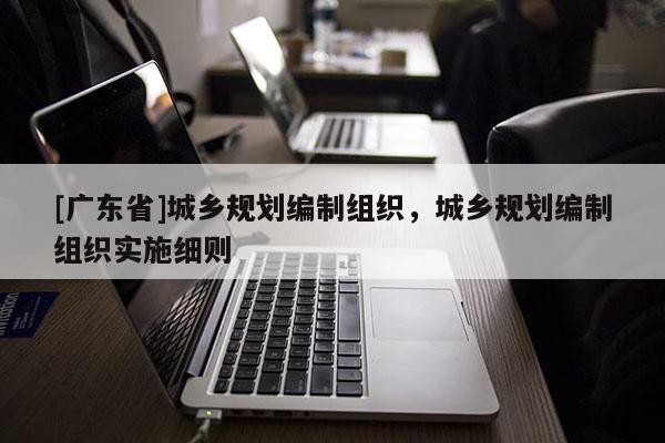 [广东省]城乡规划编制组织，城乡规划编制组织实施细则
