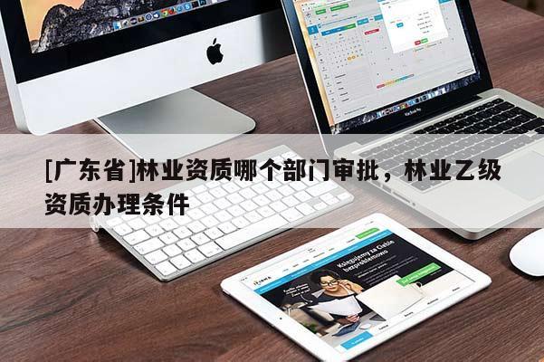 [广东省]林业资质哪个部门审批，林业乙级资质办理条件