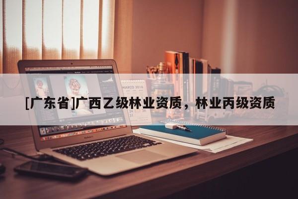 [广东省]广西乙级林业资质，林业丙级资质